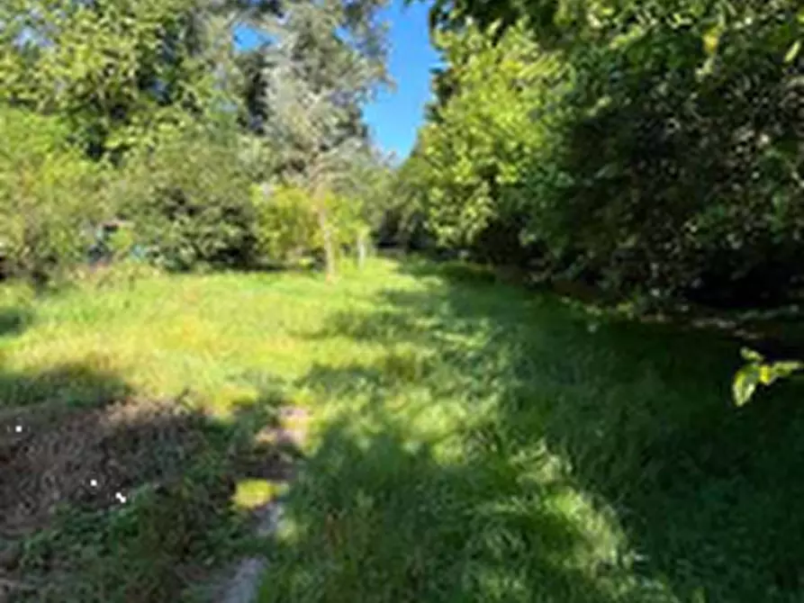 terreno agricolo in vendita a Costa Masnaga