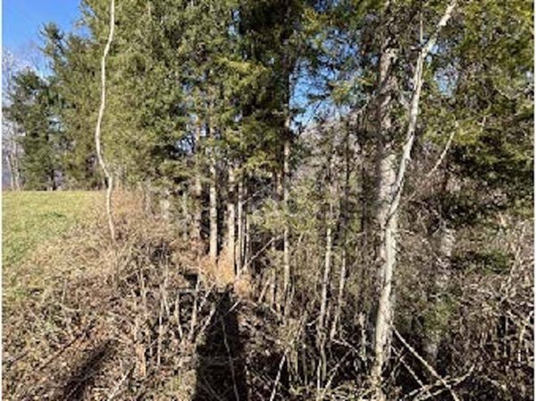 terreno edificabile in vendita a Cremeno