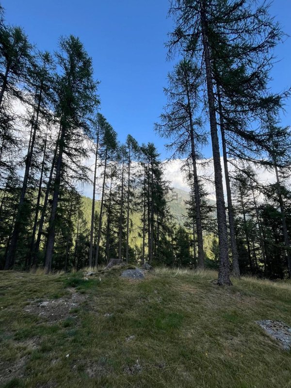 appartamento in vendita a Dervio