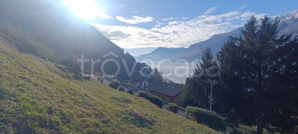 terreno agricolo in vendita a Dorio