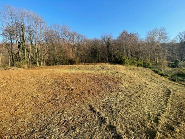 terreno agricolo in vendita ad Ello