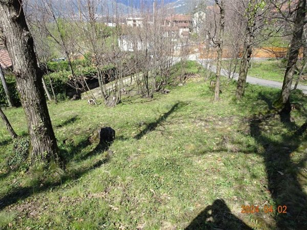 terreno agricolo in vendita ad Ello