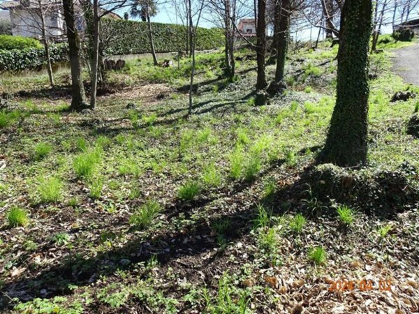 attico in vendita ad Ello in zona Boggia