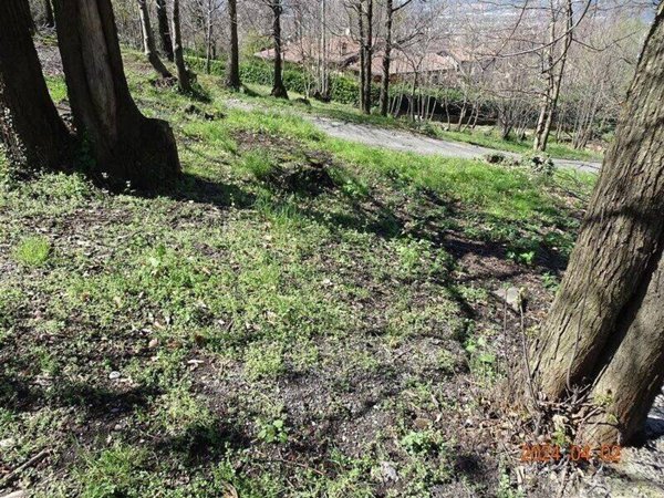 casa indipendente in vendita ad Ello