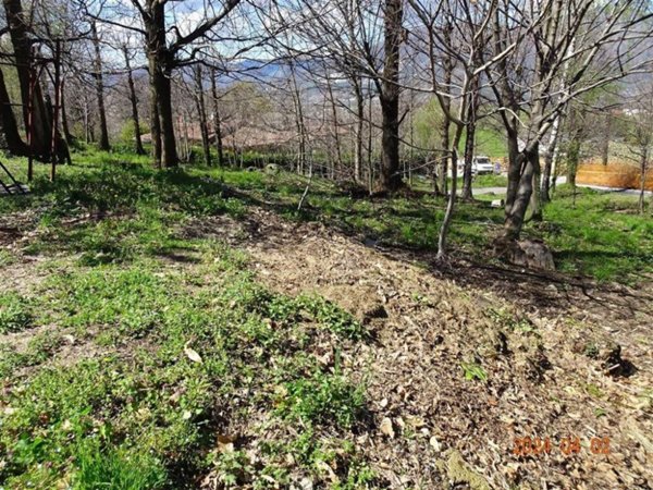 attico in vendita ad Ello in zona Boggia