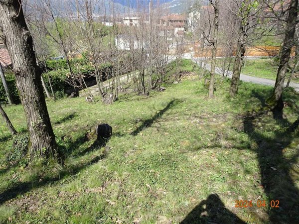 immagine annuncio 0 di 1