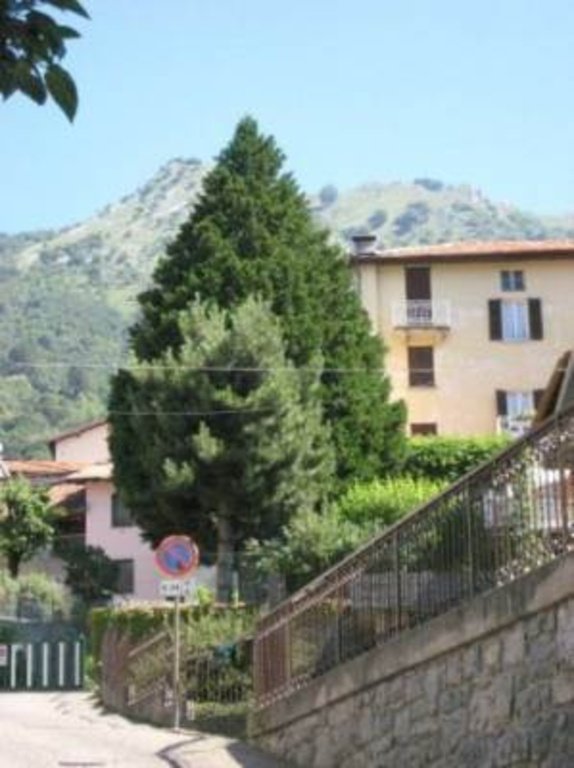 negozio in vendita ad Esino Lario