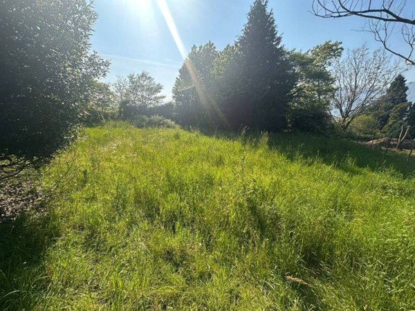 terreno agricolo in vendita a Galbiate