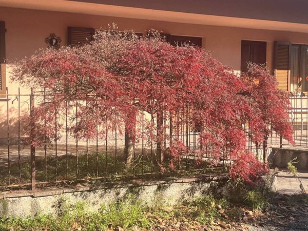 casa indipendente in vendita a Garbagnate Monastero