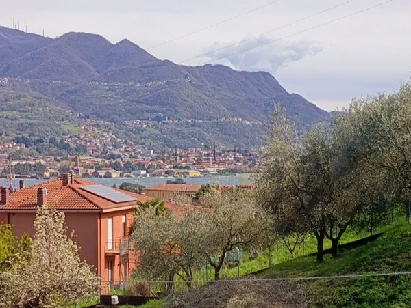 appartamento in vendita a Garlate