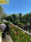 appartamento in vendita a Lecco in zona Pescarenico