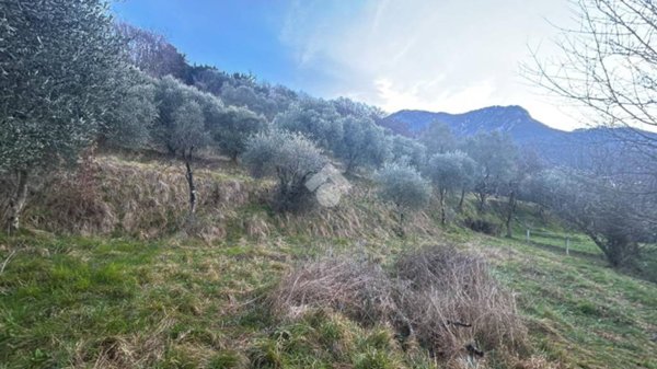terreno edificabile in vendita a Lierna