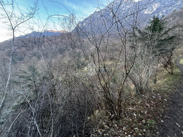 terreno edificabile in vendita a Lierna in zona Genico