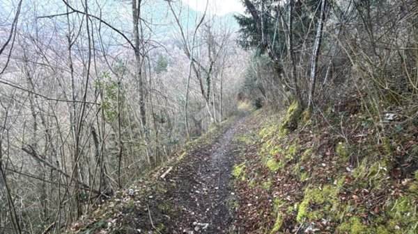 terreno edificabile in vendita a Lierna