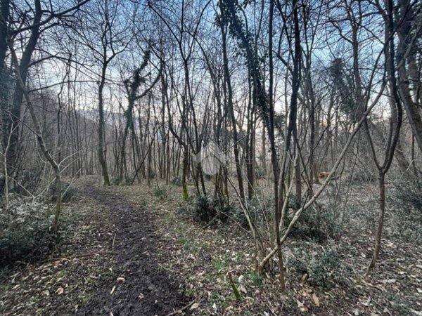 terreno edificabile in vendita a Lierna in zona Genico