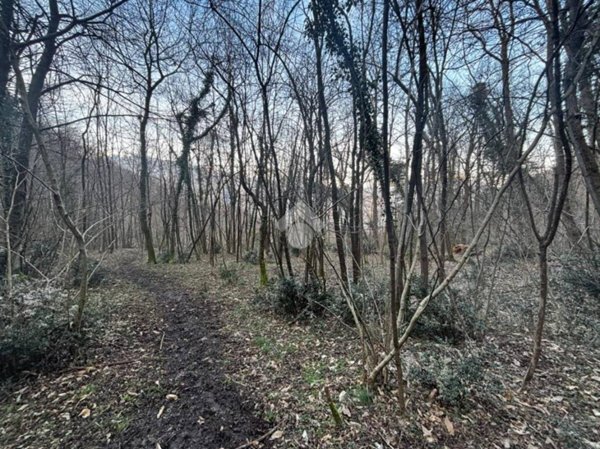 terreno edificabile in vendita a Lierna