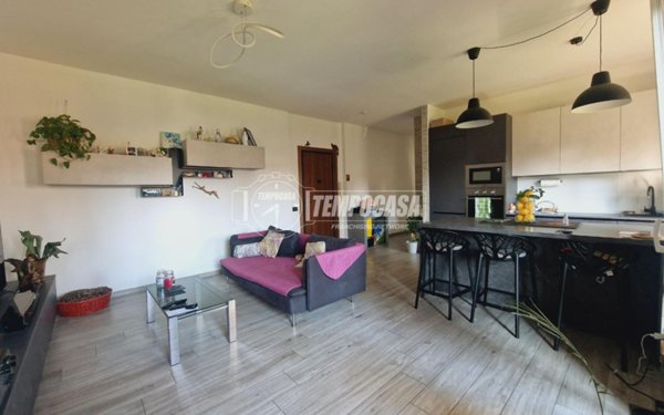 immagine annuncio 0 di 15