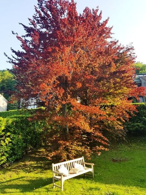 appartamento in vendita a Malgrate