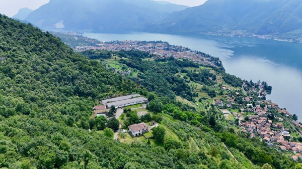 appartamento in vendita a Mandello del Lario