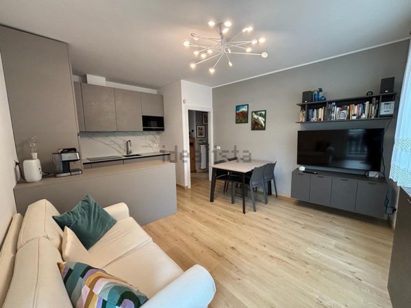 appartamento in vendita a Mandello del Lario in zona Palanzo
