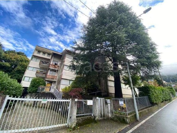 appartamento in vendita a Margno