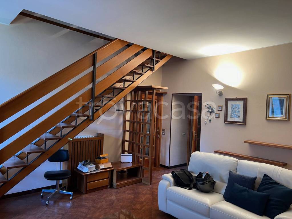 immagine annuncio 0 di 15