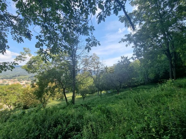 terreno agricolo in vendita a Merate in zona Sartirana