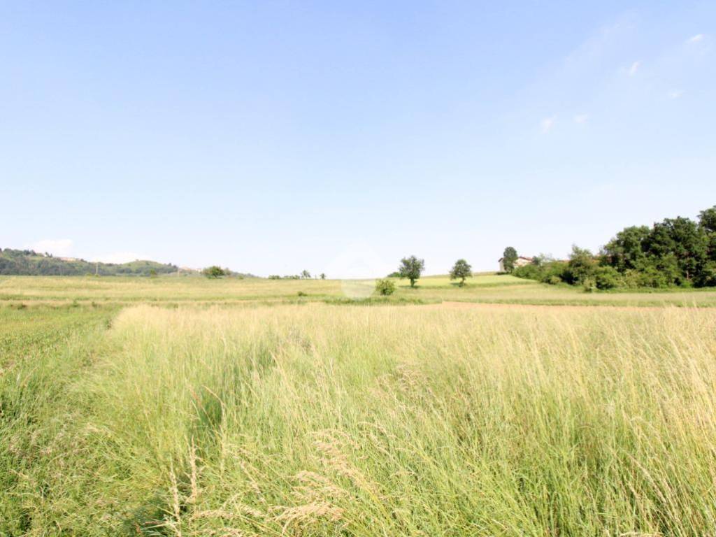 terreno agricolo in vendita a Missaglia