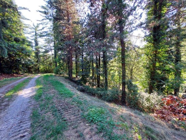 casa indipendente in vendita a Missaglia