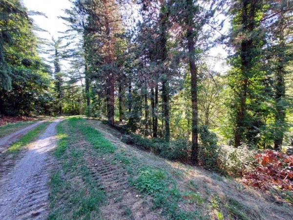 casa indipendente in vendita a Missaglia