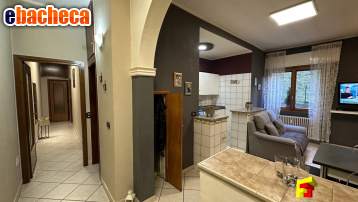 appartamento in vendita a Moggio