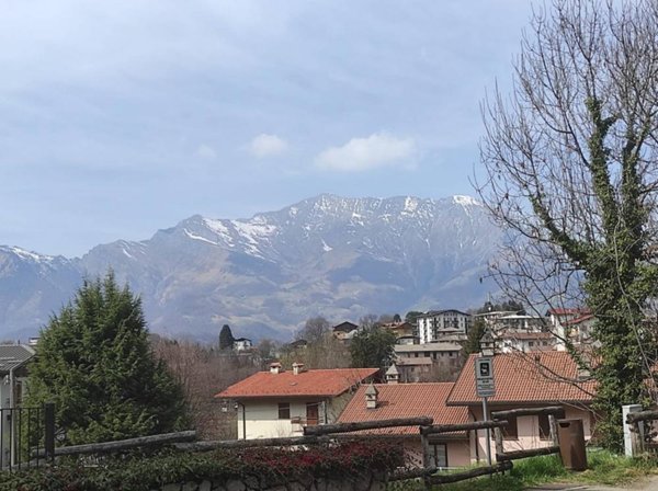 appartamento in vendita a Moggio