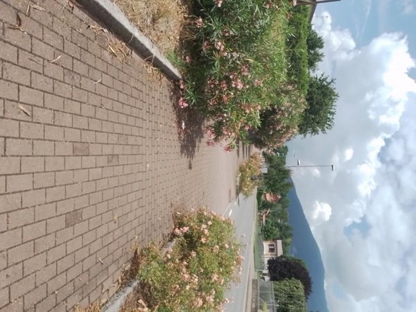 casa indipendente in vendita a Molteno