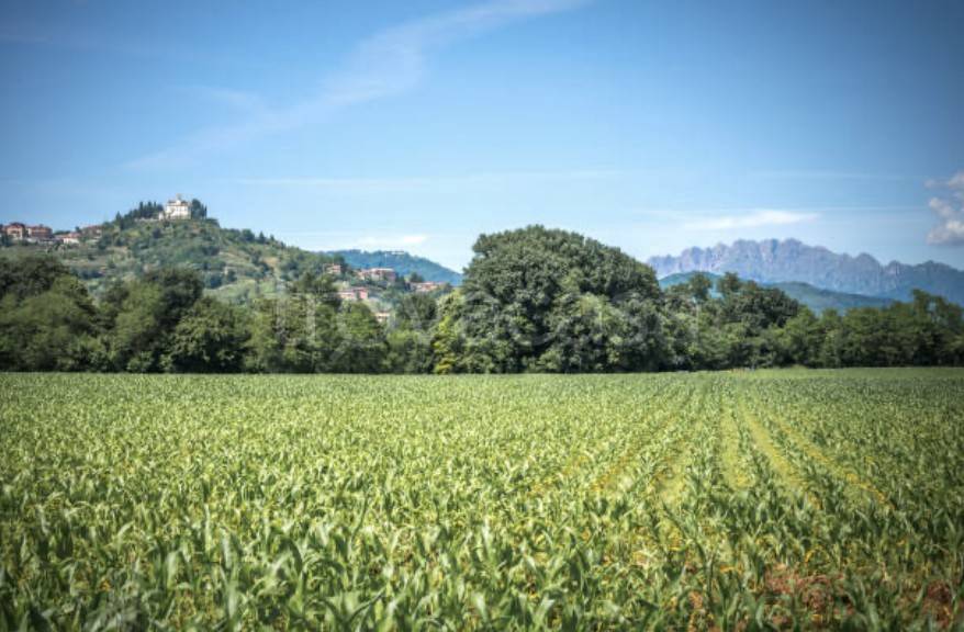 casa indipendente in vendita a Montevecchia
