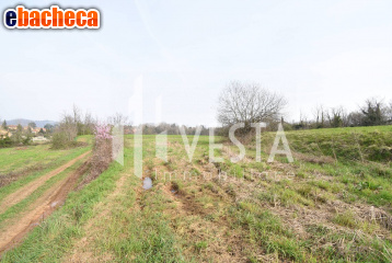 terreno agricolo in vendita a Monticello Brianza