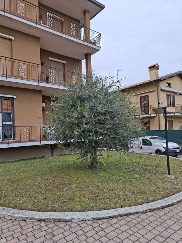 appartamento in vendita a Monticello Brianza