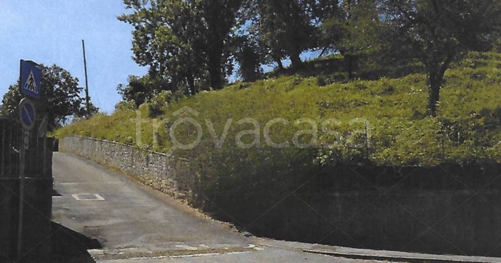 terreno agricolo in vendita a Nibionno