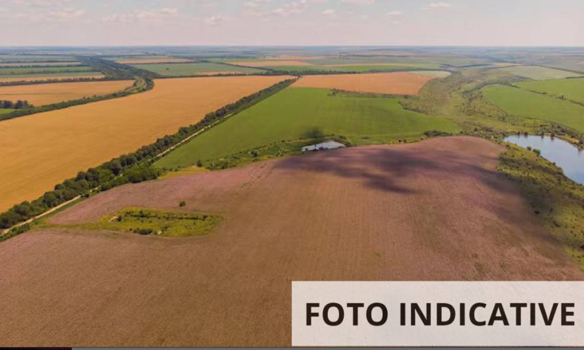 terreno agricolo in vendita a Nibionno