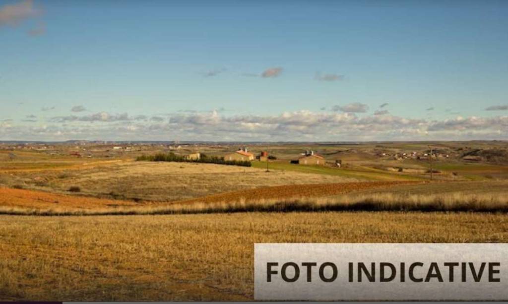 terreno agricolo in vendita a Nibionno