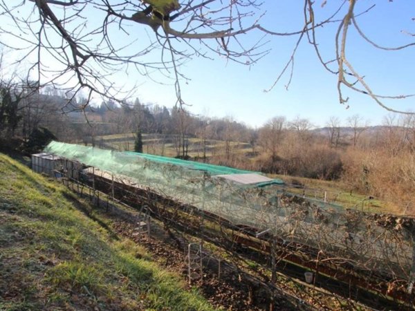 terreno agricolo in vendita a Nibionno in zona Tabiago