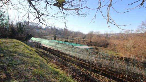 terreno agricolo in vendita a Nibionno