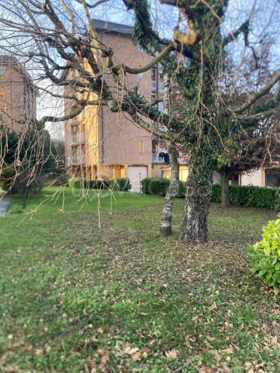 appartamento in vendita a Nibionno