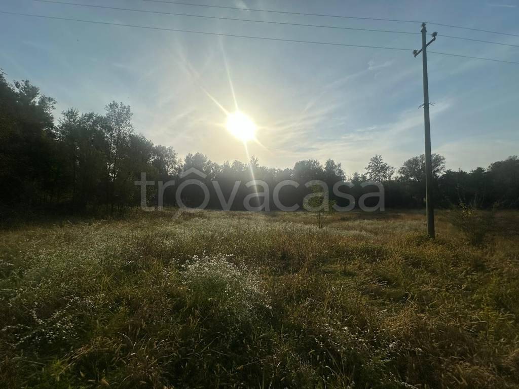 terreno agricolo in vendita a Nibionno