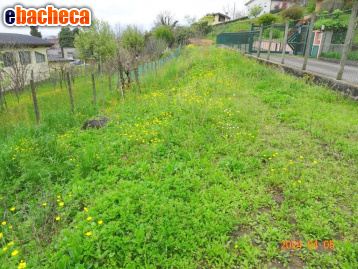 casa indipendente in vendita ad Oggiono