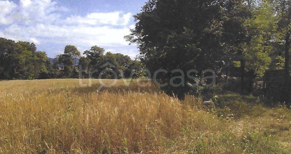terreno edificabile in vendita ad Oggiono