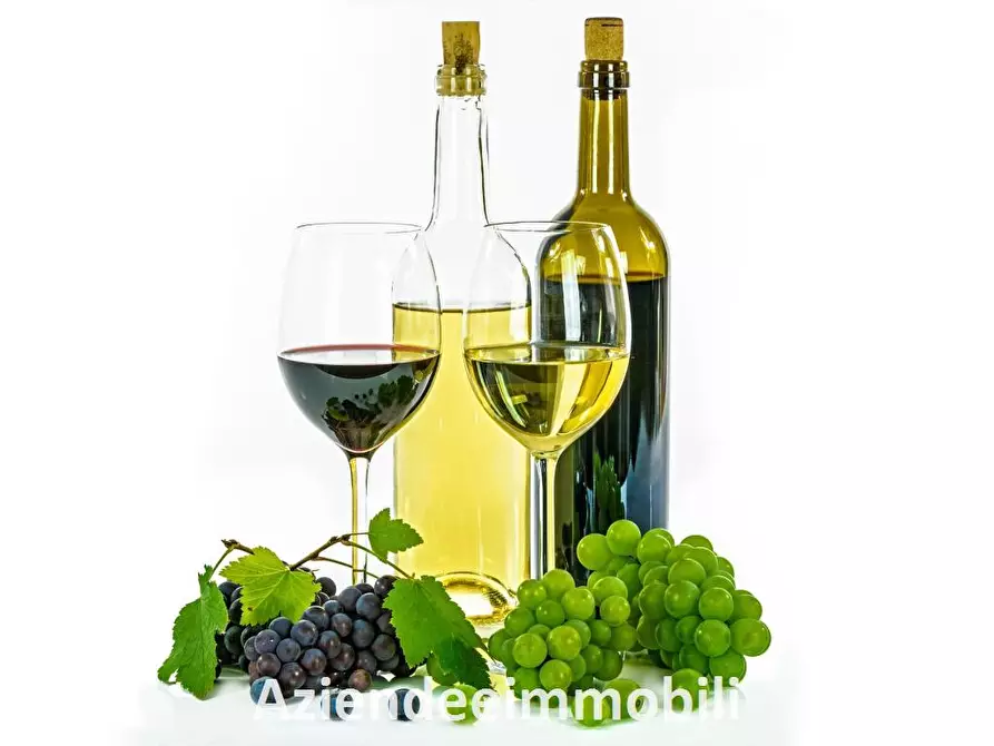 negozio in vendita ad Oggiono