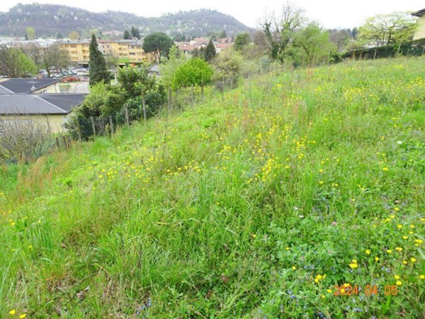 appartamento in vendita ad Oggiono