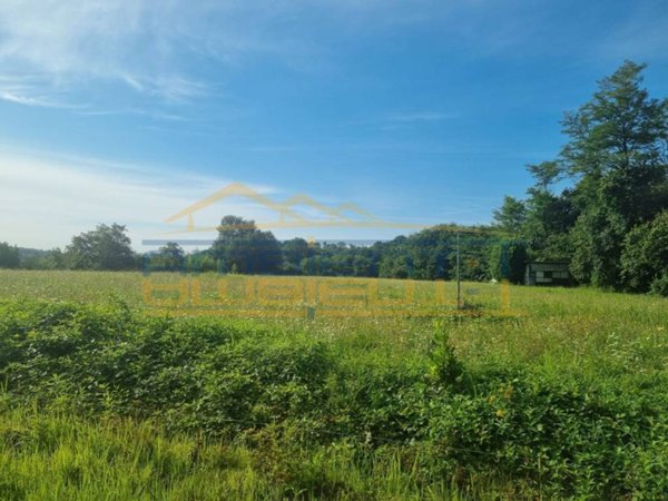 terreno agricolo in vendita ad Olgiate Molgora