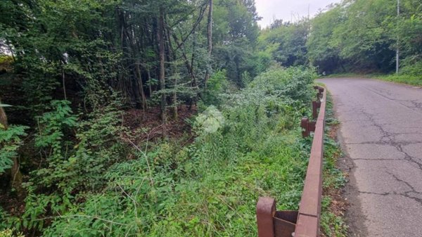 terreno agricolo in vendita ad Olgiate Molgora in zona Monastirolo