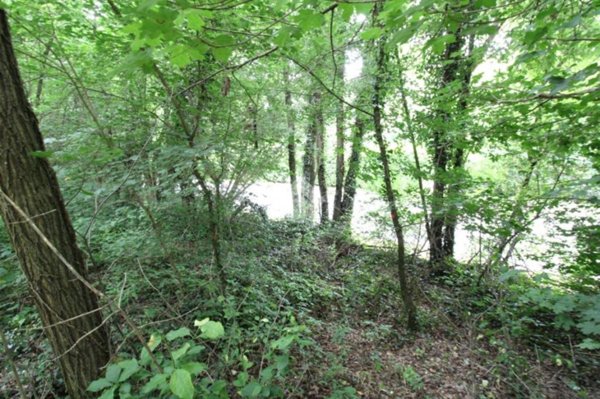 terreno agricolo in vendita ad Olgiate Molgora in zona Mondonico